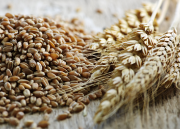 Druhá neděle postní 