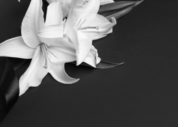 Zemřela Brigita Janovská, dlouholetá dobrovolnice a koordinátorka přeshraničních projektů a partnerství