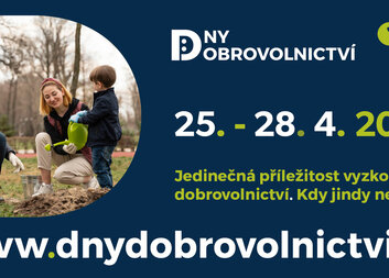 Soví odpoledne