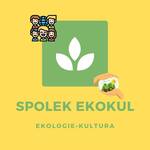 Ekokul
